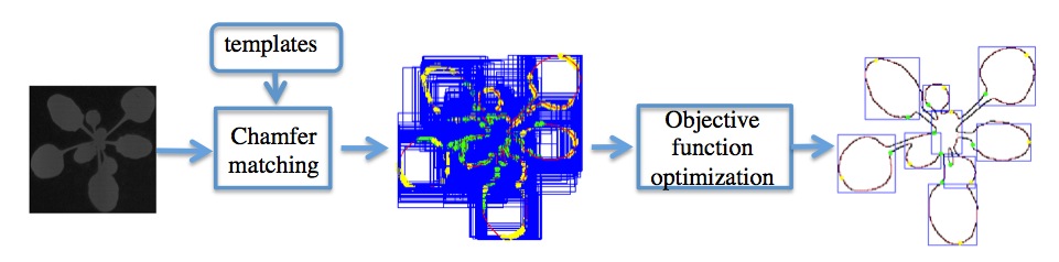 Overview of multi-leaf alignment