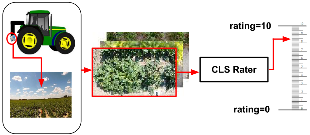 summary image