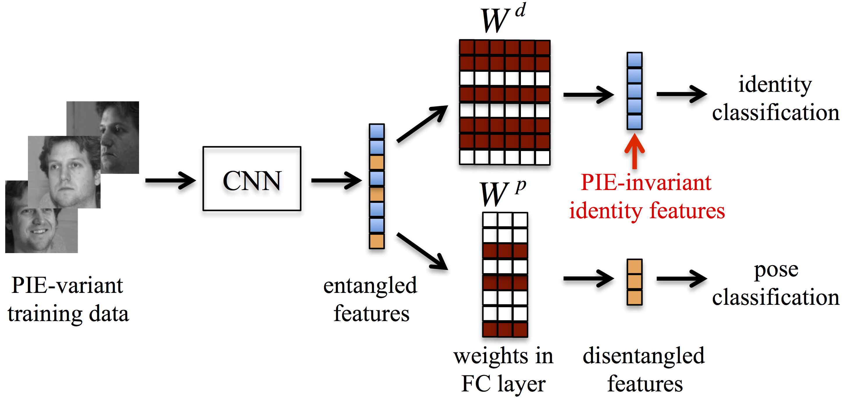 summary image