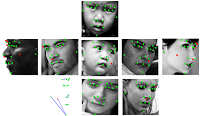 summary image