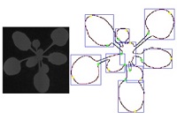 summary image