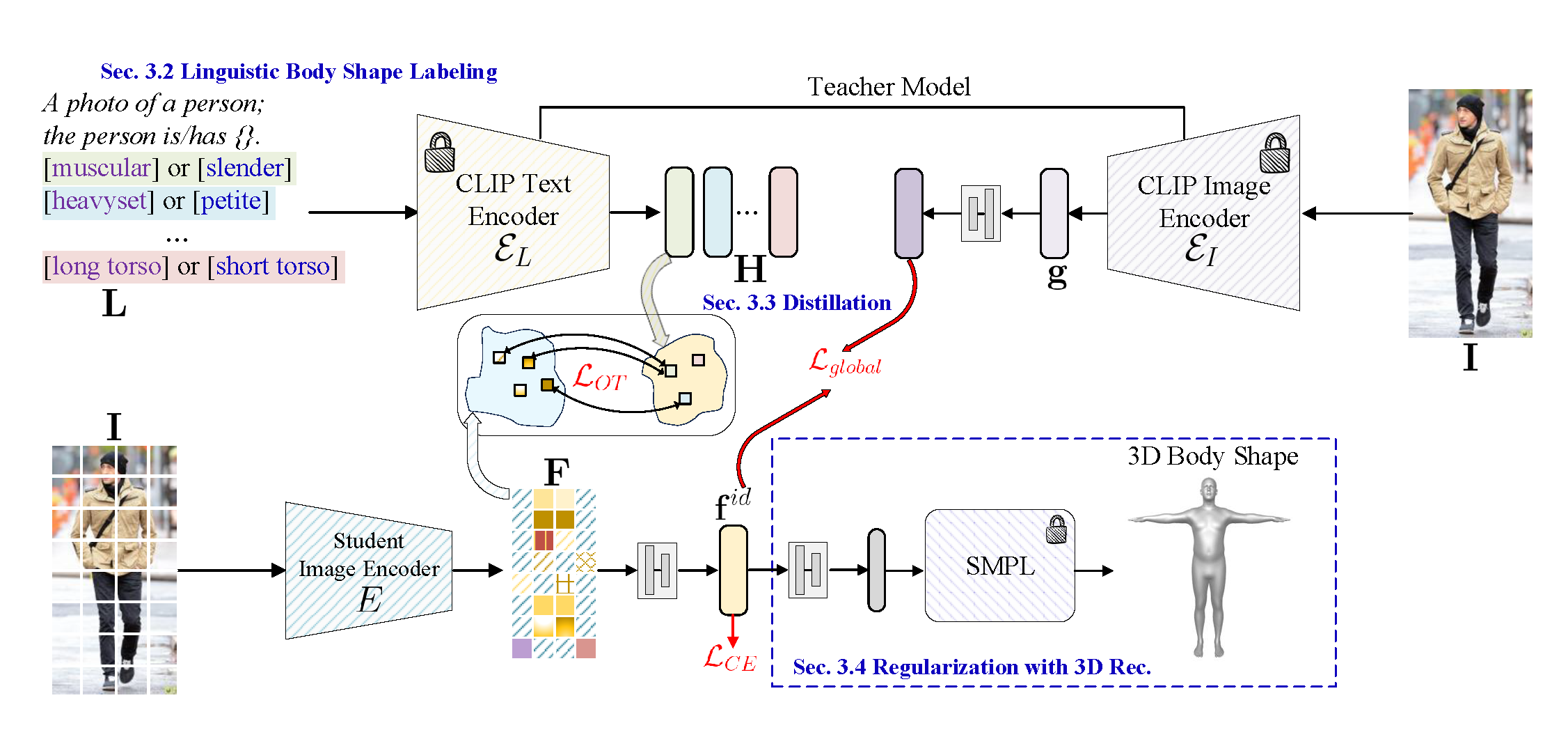 summary image